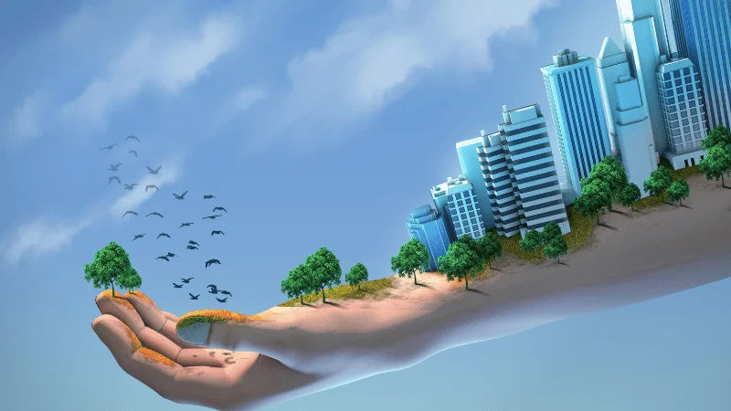 Sustainable design and construction in Merida